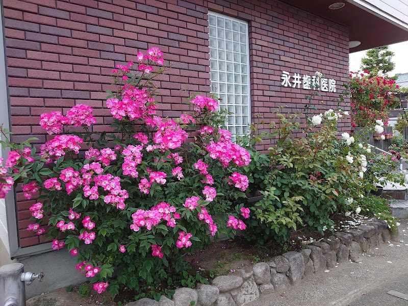永井歯科医院の写真 3/4