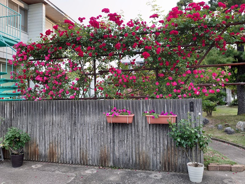 永井歯科医院の写真 4/4